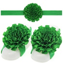 Cloth Fashion Flowers Hair accessories  red  Fashion Jewelry NHWO0681redpicture10