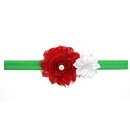 Cloth Fashion Flowers Hair accessories  red  Fashion Jewelry NHWO0685redpicture10