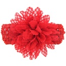 Cloth Fashion Flowers Hair accessories  red  Fashion Jewelry NHWO0686redpicture1
