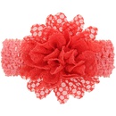 Cloth Fashion Flowers Hair accessories  red  Fashion Jewelry NHWO0686redpicture13