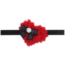 Cloth Fashion Flowers Hair accessories  SD0061  Fashion Jewelry NHWO0693SD0061picture2