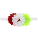 Cloth Fashion Flowers Hair accessories  1  Fashion Jewelry NHWO07171picture7