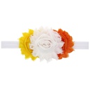 Cloth Fashion Flowers Hair accessories  1  Fashion Jewelry NHWO07171picture12