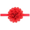 Cloth Fashion Flowers Hair accessories  red  Fashion Jewelry NHWO0721redpicture1