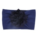 Cloth Fashion Geometric Hair accessories  Navy blue lotus leaf  Fashion Jewelry NHWO0743Navybluelotusleafpicture1