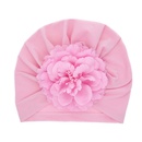 Cloth Fashion Flowers Hair accessories  Pink flower  Fashion Jewelry NHWO0744Pinkflowerpicture1