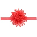 Cloth Fashion Flowers Hair accessories  red  Fashion Jewelry NHWO0778redpicture8