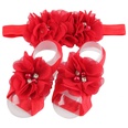 Cloth Fashion Flowers Hair accessories  red  Fashion Jewelry NHWO0656redpicture30