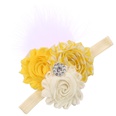 Cloth Fashion Flowers Hair accessories  1  Fashion Jewelry NHWO06691picture39