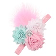 Cloth Fashion Flowers Hair accessories  1  Fashion Jewelry NHWO06691picture43