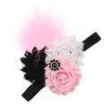 Cloth Fashion Flowers Hair accessories  1  Fashion Jewelry NHWO06691picture47