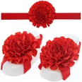 Cloth Fashion Flowers Hair accessories  red  Fashion Jewelry NHWO0681redpicture27