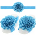 Cloth Fashion Flowers Hair accessories  red  Fashion Jewelry NHWO0681redpicture29