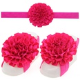 Cloth Fashion Flowers Hair accessories  red  Fashion Jewelry NHWO0681redpicture33