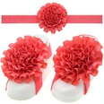 Cloth Fashion Flowers Hair accessories  red  Fashion Jewelry NHWO0681redpicture37