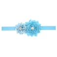 Cloth Fashion Flowers Hair accessories  red  Fashion Jewelry NHWO0685redpicture51
