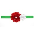Cloth Fashion Flowers Hair accessories  red  Fashion Jewelry NHWO0685redpicture58