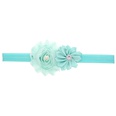 Cloth Fashion Flowers Hair accessories  red  Fashion Jewelry NHWO0685redpicture61