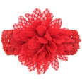Cloth Fashion Flowers Hair accessories  red  Fashion Jewelry NHWO0686redpicture20