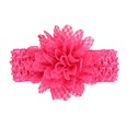 Cloth Fashion Flowers Hair accessories  red  Fashion Jewelry NHWO0686redpicture25