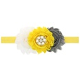 Cloth Fashion Flowers Hair accessories  1  Fashion Jewelry NHWO07171picture25