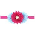 Cloth Fashion Flowers Hair accessories  1  Fashion Jewelry NHWO07171picture32