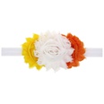 Cloth Fashion Flowers Hair accessories  1  Fashion Jewelry NHWO07171picture36