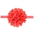 Cloth Fashion Flowers Hair accessories  red  Fashion Jewelry NHWO0721redpicture30