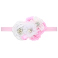 Cloth Fashion Flowers Hair accessories  White pink  Fashion Jewelry NHWO0754Whitepinkpicture3