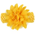 Cloth Fashion Flowers Hair accessories  yellow  Fashion Jewelry NHWO0774yellowpicture23