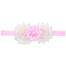 Cloth Fashion Flowers Hair accessories  Pink  Fashion Jewelry NHWO0799Pinkpicture1