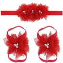 Cloth Fashion Flowers Hair accessories  red  Fashion Jewelry NHWO0801redpicture1