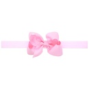 Alloy Fashion Flowers Hair accessories  Large pink  Fashion Jewelry NHWO0830Largepinkpicture1