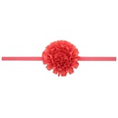 Cloth Fashion Flowers Hair accessories  red  Fashion Jewelry NHWO0837redpicture11