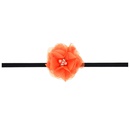 Cloth Fashion Flowers Hair accessories  WS033  Fashion Jewelry NHWO0849WS033picture1