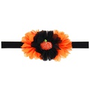 Cloth Fashion Flowers Hair accessories  WS049  Fashion Jewelry NHWO0860WS049picture1