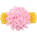 Cloth Fashion Flowers Hair accessories  1  Fashion Jewelry NHWO08661picture1