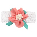 Cloth Fashion Flowers Hair accessories  1  Fashion Jewelry NHWO08661picture4