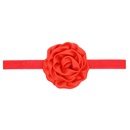 Cloth Fashion Flowers Hair accessories  red  Fashion Jewelry NHWO0872redpicture1