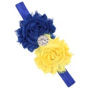 Cloth Fashion Sweetheart Hair accessories  yellow  Fashion Jewelry NHWO0874yellowpicture35