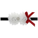 Cloth Fashion Flowers Hair accessories  white  Fashion Jewelry NHWO0892whitepicture1