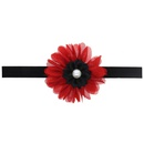 Cloth Fashion Flowers Hair accessories  red  Fashion Jewelry NHWO0894redpicture1