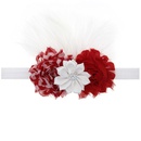 Cloth Fashion Flowers Hair accessories  SD0371  Fashion Jewelry NHWO0895SD0371picture2