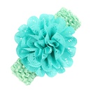 Cloth Fashion Flowers Hair accessories  red  Fashion Jewelry NHWO0898redpicture10
