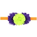 Cloth Fashion Flowers Hair accessories  WS0061  Fashion Jewelry NHWO0906WS0061picture1