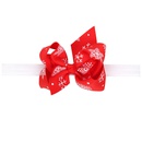 Cloth Fashion Flowers Hair accessories  SD0431  Fashion Jewelry NHWO0918SD0431picture2
