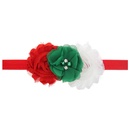 Cloth Fashion Flowers Hair accessories  SD0271  Fashion Jewelry NHWO0934SD0271picture4