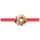 Cloth Fashion Flowers Hair accessories  Pink  Fashion Jewelry NHWO0944Pinkpicture2