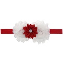 Cloth Fashion Flowers Hair accessories  white  Fashion Jewelry NHWO0952whitepicture1