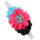 Cloth Fashion Flowers Hair accessories  1  Fashion Jewelry NHWO09991picture3